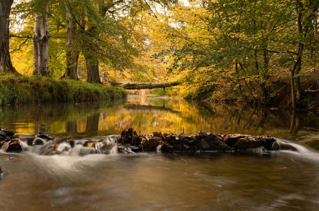 river, cutler water, nature, water, autumn, tree bridge, bridge, crossing, reflections, scotland, biggar, clydesdale, lanarkshire, brown cross, brown water, brown tree, brown river, brown bridge